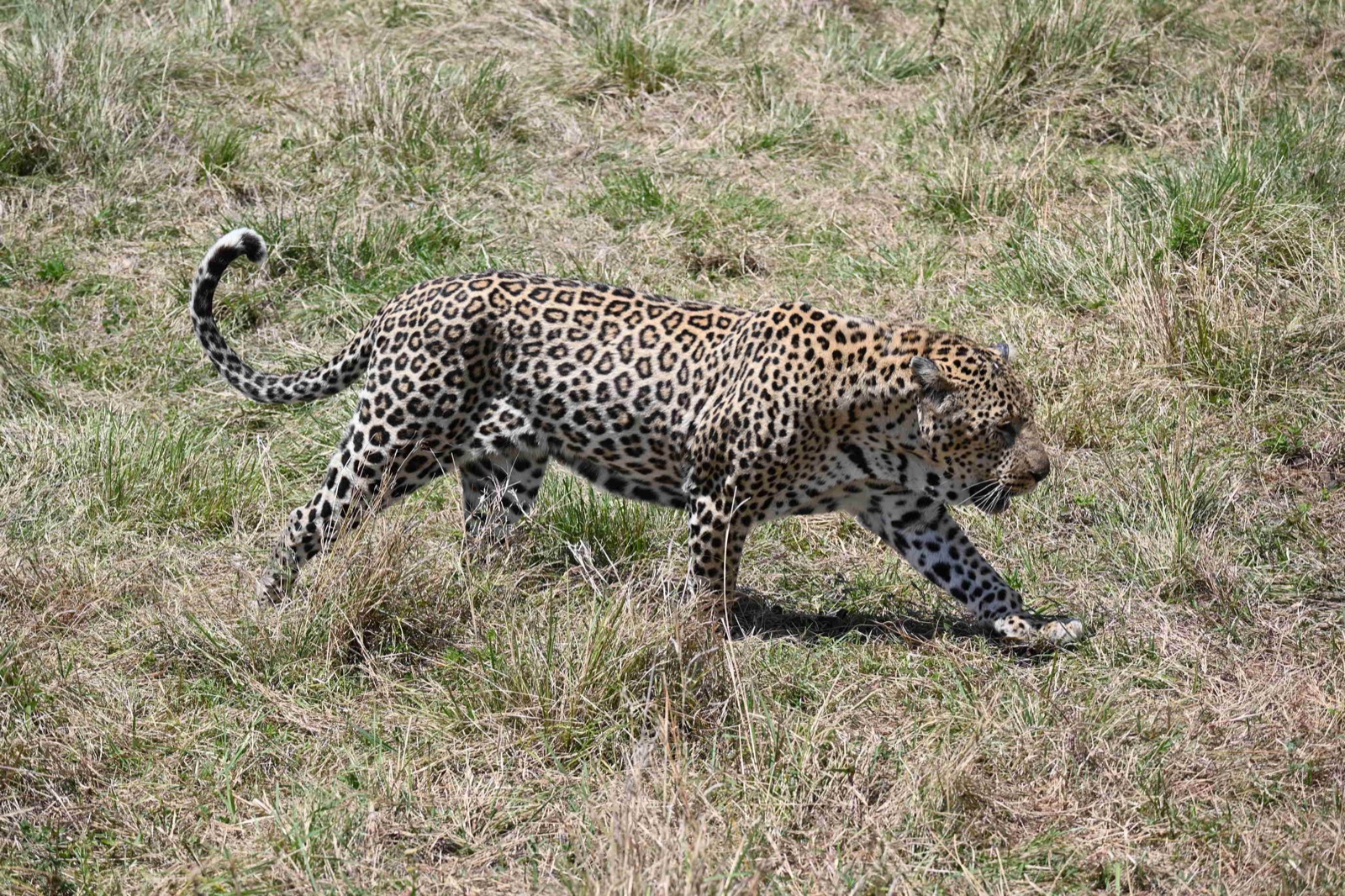 Kenya & Seychelles — photo 1