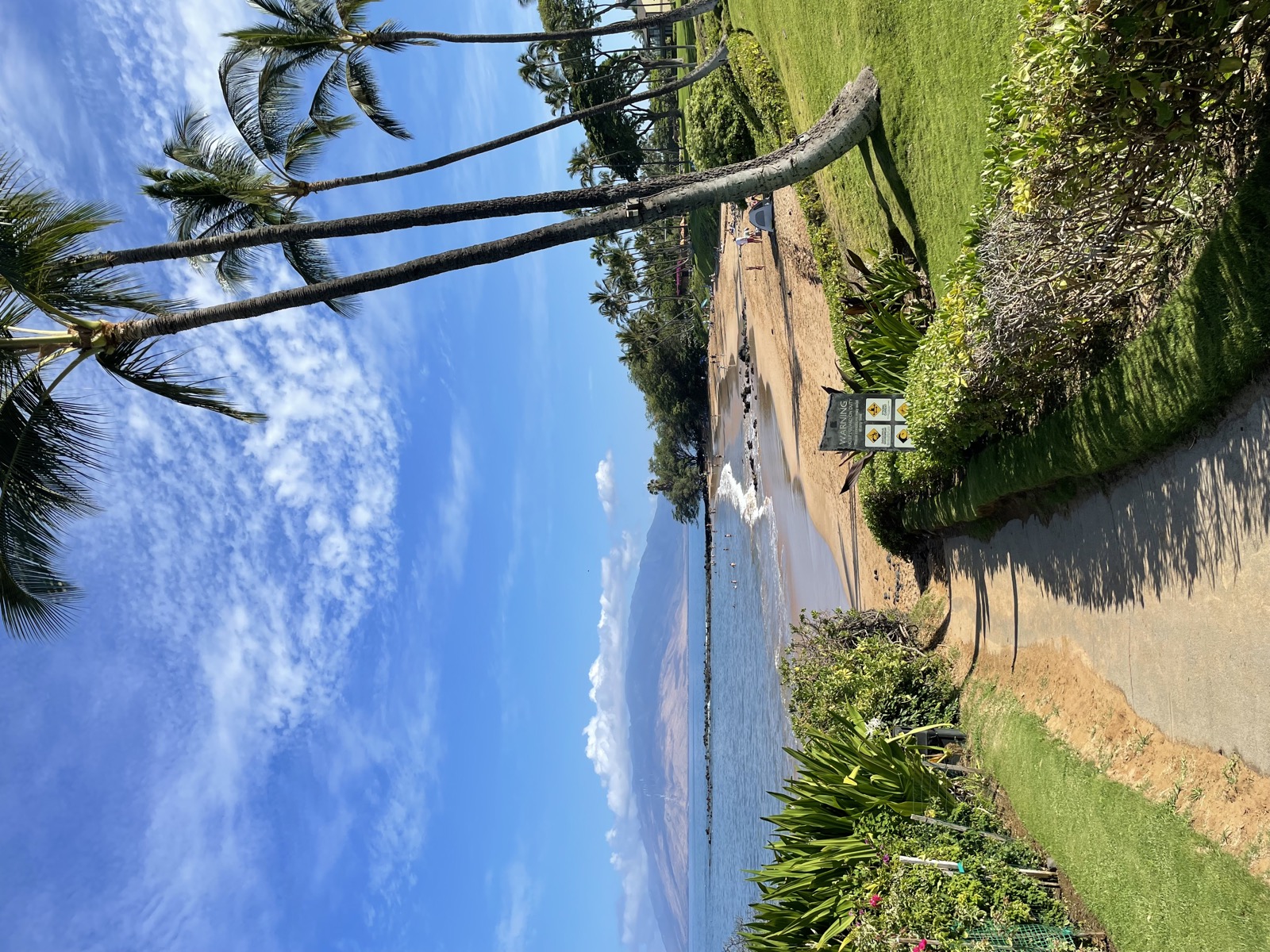 California & Hawaii — photo 3